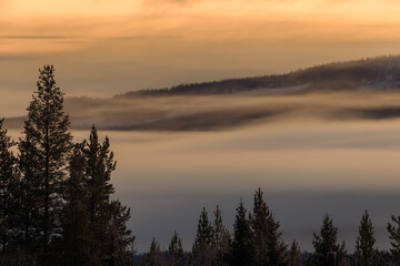 A serene mountain landscape at sunrise, with golden skies illuminating the horizon. A soft blanket of fog drifts over the dark forest below, while the snow-dusted peaks rise in the distance. 