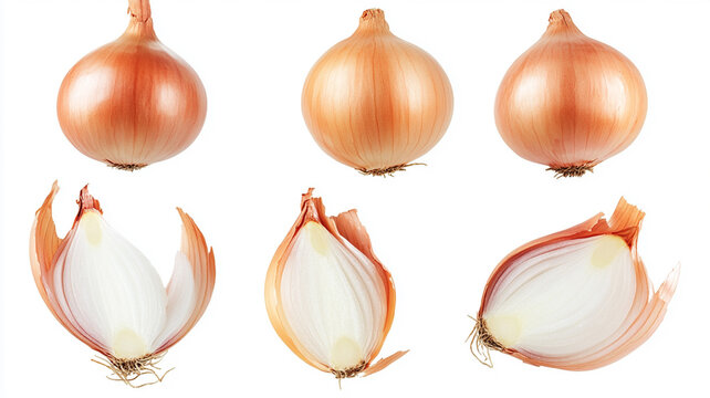 Collection of High-Resolution Onion Images Whole, Halved, and Peeled