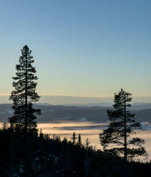 A serene mountain landscape at sunrise, with golden skies illuminating the horizon. A soft blanket of fog drifts over the dark forest below, while the snow-dusted peaks rise in the distance. 