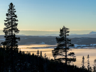 A serene mountain landscape at sunrise, with golden skies illuminating the horizon. A soft blanket of fog drifts over the dark forest below, while the snow-dusted peaks rise in the distance. 