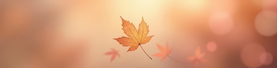 Delicate dried leaf, peach-hued light, serene float ,  form,  color
