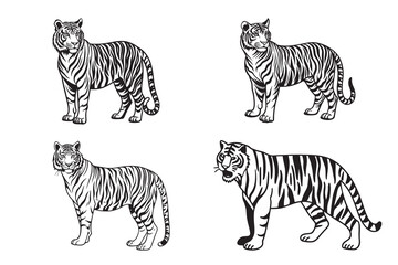 tiger silhouette vector illustration set featuring standing wild mammals with black and white stripes