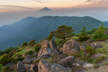 奥多摩山塊 白谷ノ丸から夜明けの富士山