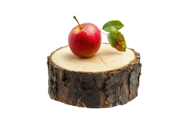 Apple tree stump with one branch and fruit isoleted on white background