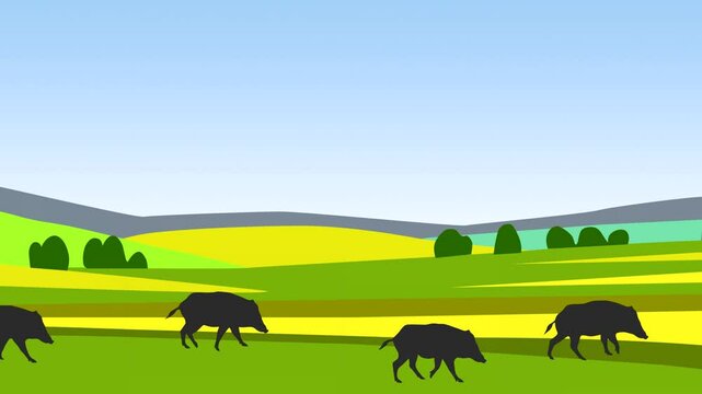 Animation with wild boars walking in the field (seamless loop)