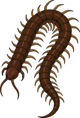 Obraz premium リアルなムカデのイラスト