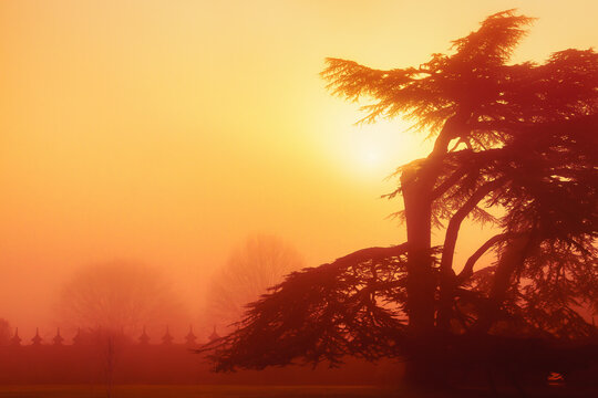 Foggy Day at Hardwick