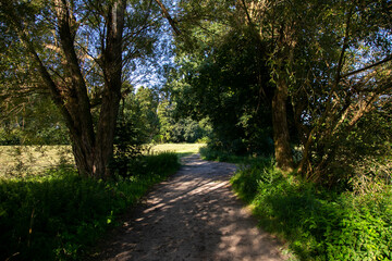 Obraz premium Summer road views from Lübars in the Brandenburg region near Berlin.