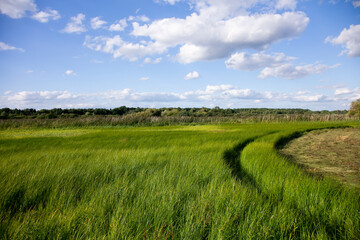 Summer road views from Lübars in the Brandenburg region near Berlin.