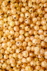 The golden currant berries are closely packed together, creating a visually rich and warm composition.Their translucent skin lets light through, highlighting their shiny surface and intricate details.