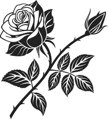 A sophisticated black and white line art illustration of a rose and its stem.
