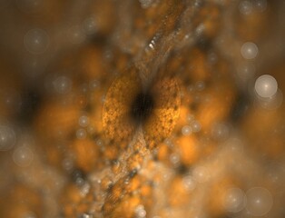 Imaginatory fractal abstract background Image