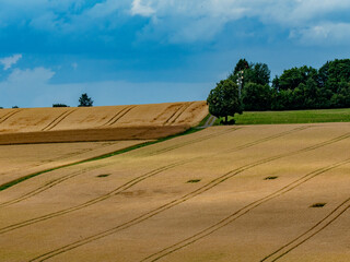Agrarlandschaft im Sommer