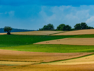 Agrarlandschaft im Sommer