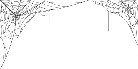 Halloween Cobweb frame border, spider web Vector Isolated on Transparent Background. Vector eps