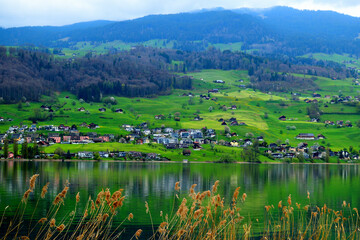 beautiful landscapes with green mountains and houses architectures and cows and lake at switzerland