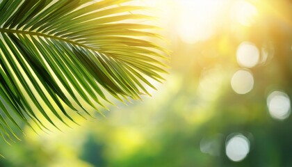 Obraz premium palm leaf swaying on sunny background