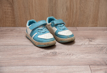 Dirty worn out shoes of all family members, piled up on the floor. Decluttering and organizing the...