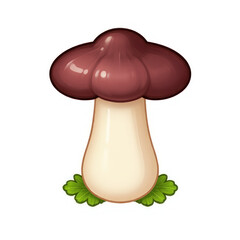 Delicious Creamy Mushroom Dish