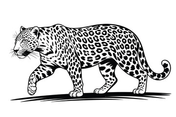 Black and white illustration of a walking leopard with spotted fur 1