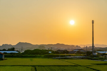 沈む夕日