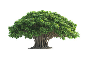 Banyan Tree isolated in 3d cartoon character on white background