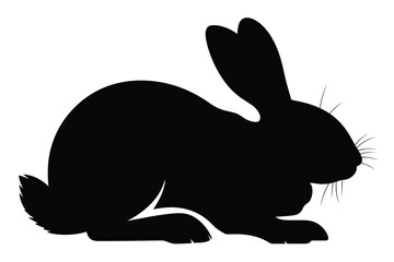 Black Rabbit Silhouette on White Background bunny