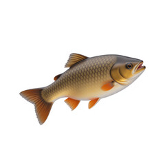 Fototapeta premium A vibrant orange fish, showcasing detailed scales and fins, is presented against a plain white background in a studio setting. 