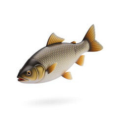 Obraz premium A vibrant orange fish, showcasing detailed scales and fins, is presented against a plain white background in a studio setting. 