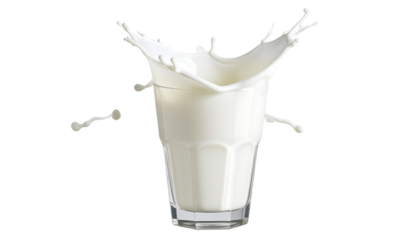 A Glass of milk with splash isolated on white or transparent background, png clipart, design element. Easy to place on any other background.