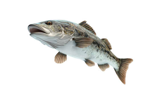 Barramundi jumping 3d render cartoon character on white background