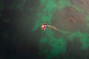 Vietnamese Fisherman Rowing a coconut Boat at Sunrise — Aerial View