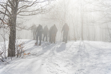 Gruppo di escursionisti visti da dietro che salgono la monatna innevata nel sottobosco avvolto...