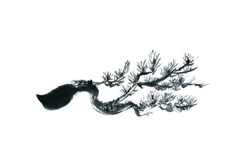 Ink Painting of Pine Branch Illustration for New Year and Celebration (Vector)