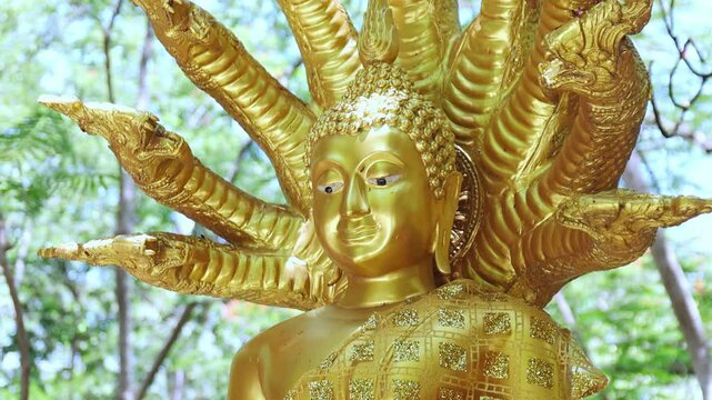 Gold Buddha statue, Golden Buddha statue with seven-headed naga outdoors, Detailed art and faith, reflecting Thai culture and religion, perfect for spiritual and cultural footage, close-up