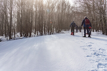 Escursione di trekking sulla neve con le ciaspole