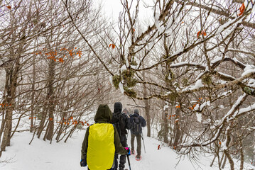 Escursionisti con zaino giallo tra gli alberi spogli e ricoperti di neve