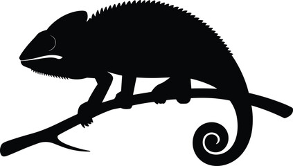 Silhouette of chameleon lizard sitting on branch, reptile animal graphic, nature wildlife artwork, tropical exotic creature, jungle forest design.