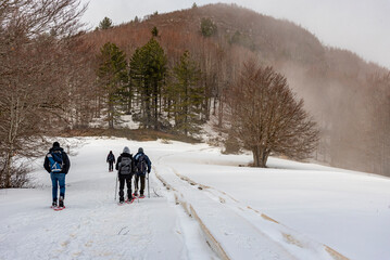 Quattro escursionisti costeggiano una strada completamente coperta dalla neve in Aspromonte