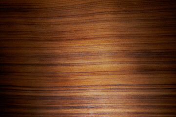 A texture image of paulownia wood.
