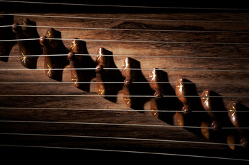 Gayageum is a traditional Korean instrument.
