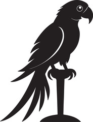 Parrot on Perch or tree branch Silhouette – exotic touch
