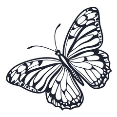 Butterfly  line art vector icon on white background.