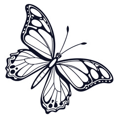 Butterfly  line art vector icon on white background.