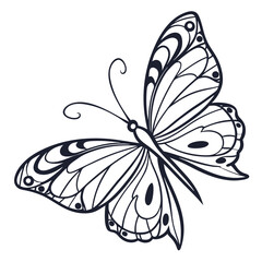 Butterfly  line art vector icon on white background.