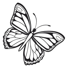 Butterfly  line art vector icon on white background.