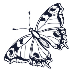 Butterfly  line art vector icon on white background.