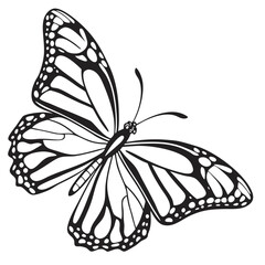 Butterfly  line art vector icon on white background.