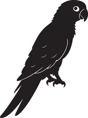 Parrot on Perch or tree branch Silhouette – exotic touch