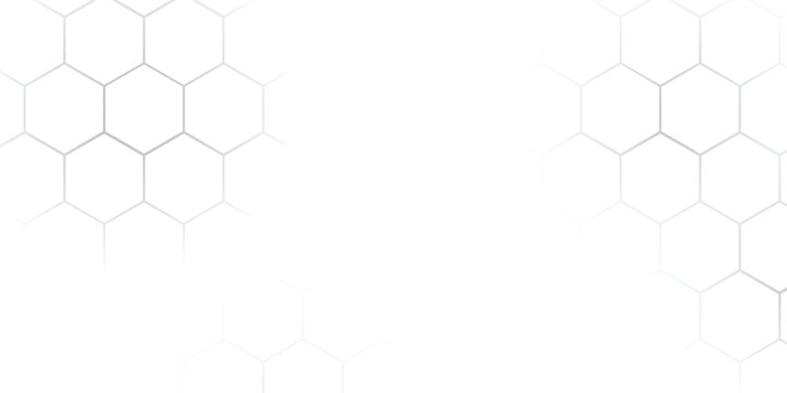 white beehive background. Honeycomb, bees hive cells pattern. Bee honey shapes. Geometric seamless texture symbol. Hexagon, hexagonal raster, mosaic cell sign or icon. Gradation.